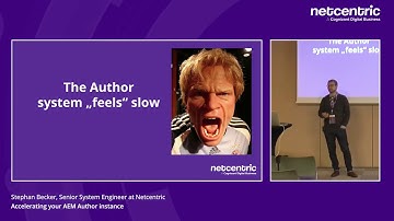 Netcentric | Accelerating your AEM Author instance