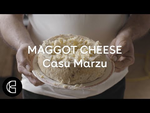 Casu Marzu - The Illegal Cheese That’s Crawling With Maggots image