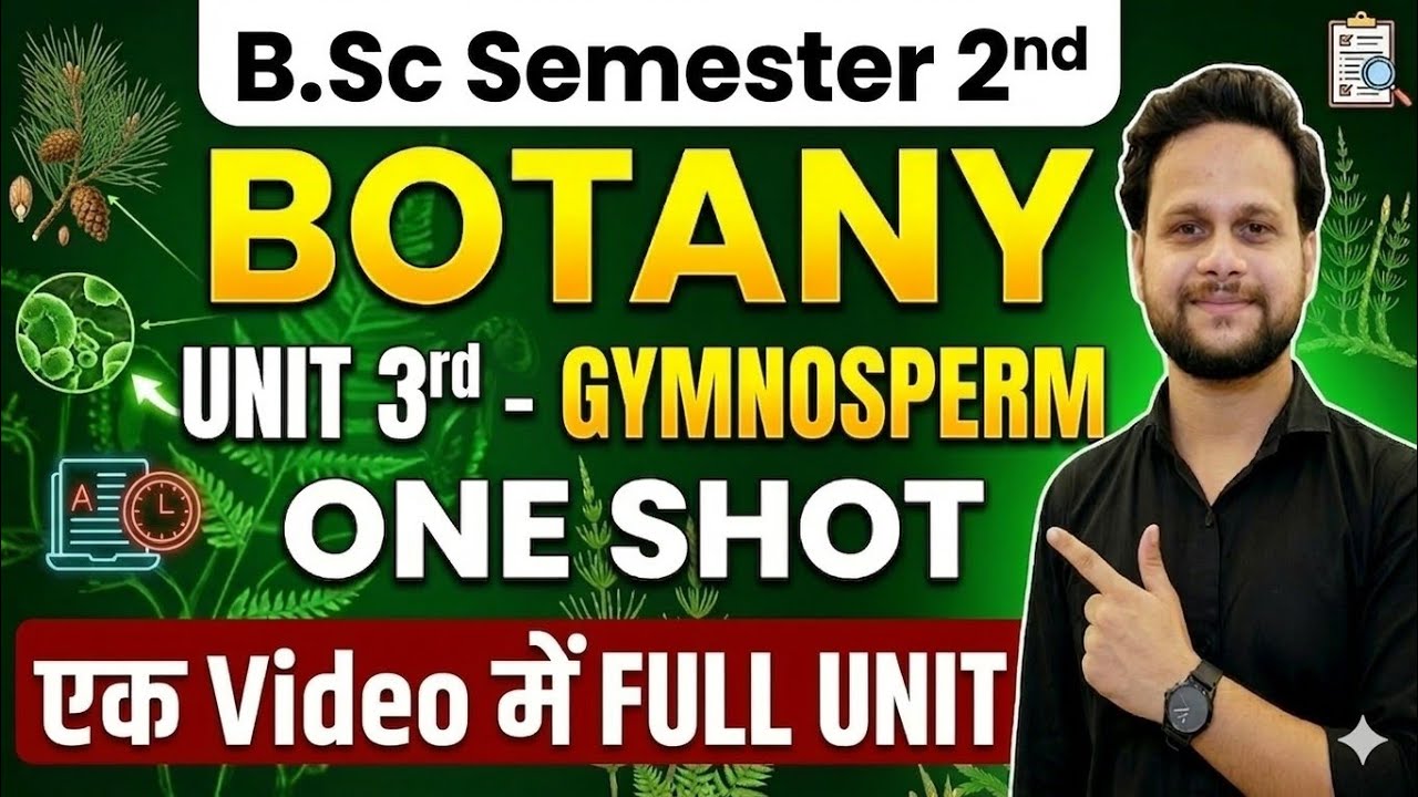 B.Sc 2nd Semester Botany | Gymnosperms One Shot Unit 3 Complete in 1 ...