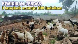 Asa Menjadi Nyata. Ternak Jawa Randu Di Kandang Koloni Semi Umbaran