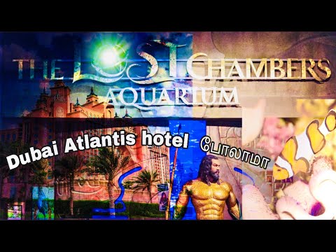 The Lost Chamber Aquarium Full Tour | Atlantis – The Palm,Dubai | An iconic 5⭐️ Hotel in Dubai 🇦🇪