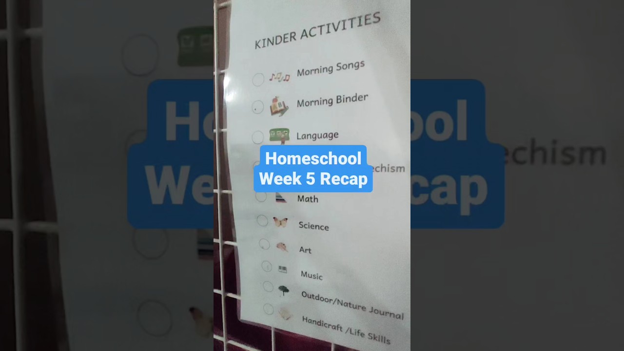 #eclectichomeschool #kindergarten  #homeschooling #casadellibro #montessorihomeschool