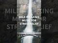 Mind Relaxing Music for Stress Relief #relaxingmusic #meditationmusic #stressrelief #mindmusic