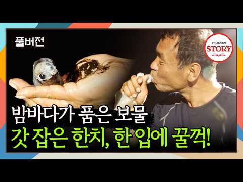 [FULL] 작아서 놔주는 줄 알았더니... 한치를 한입에 잡아먹는 상남자💦 | 뉴 코리아 헌터 ep.7 | TV CHOSUN 160721 방송