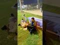 🤣Ada paavi 😬Real &amp; End Twist 😡#funny #fun #short #trending #viral #comedy #shots