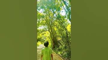 #song #music #spotify #love #comedy #tamilsong #harekfriendkaminahotahai