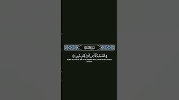 وان ربك يعلم ما تكن صدورهم #اسلام_صبحي #quran #tilawat #surah #راحة_نفسية #تلاوات #islamic