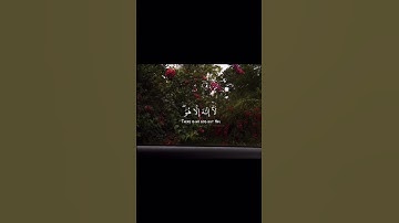 استمعوا إلى سورة طه بصوت القارئ #هاشم_الدخين 🎧 صوت يريح القلوب #تلاوة_خاشعة #قرآن #راحة_نفسية #لايك