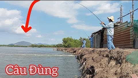 Trở lại Đùng 50k/ Câu cá Nâu và Bống Đục/ Câu cá thiên nhiên