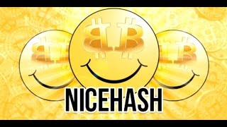 Nicehash miner - майнер для начинающих и ленивых!