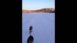 Sparktur 20130123