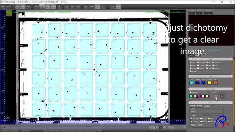 Daphnia horizontal locomotion tracking