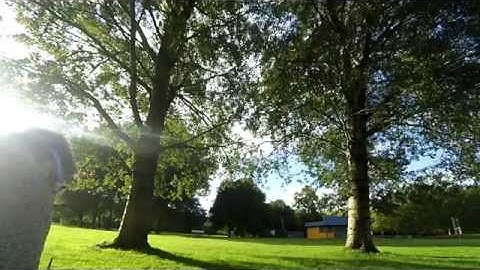 ZMR250 V2 #2 - Taking it easy