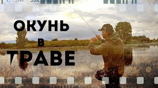 Супер динамичная рыбалка. Ловля окуня в траве