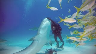 Fearless Jeb Corliss: Extreme Adventures of Jeb Corliss😱 [Adrenaline TV]