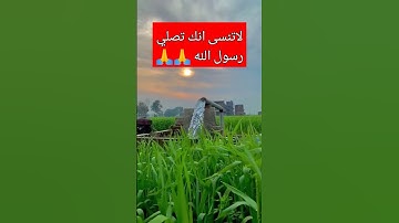 ما تيسر من الذكر الحكيم تلاوة خاشعة مؤثرة مبكية 😭😭🙏❤️🌒🌒⛏️