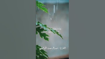الر ۚ تِلْكَ آيَاتُ الْكِتَابِ الْمُبِينِ #اكسبلور#تلاوات_خاشعة