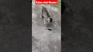 Ratón Nivel Neymar