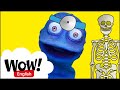 Doctor Songs for Kids with Dr. Bob the Blob | English speaking and singing