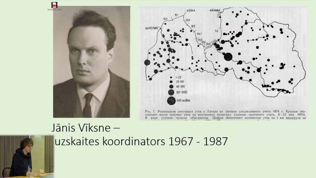 Ziemojošo ūdensputnu uzskaite. Antra Stīpniece. LOB saiets 2025