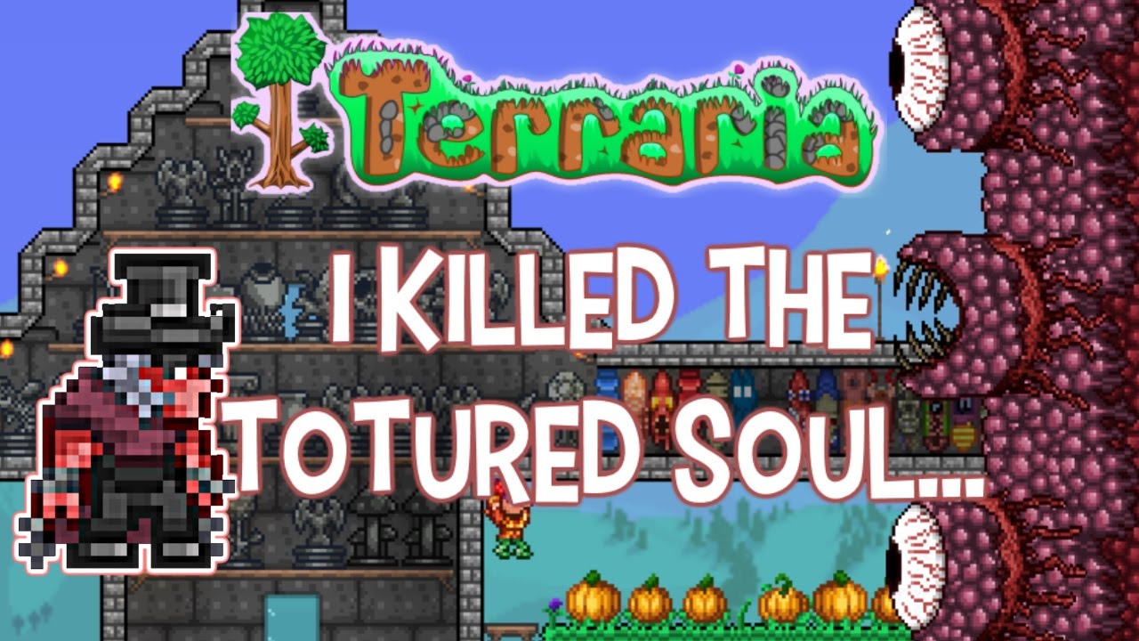 Totured Soul, can we be friends? Terraria 1.3 Solo