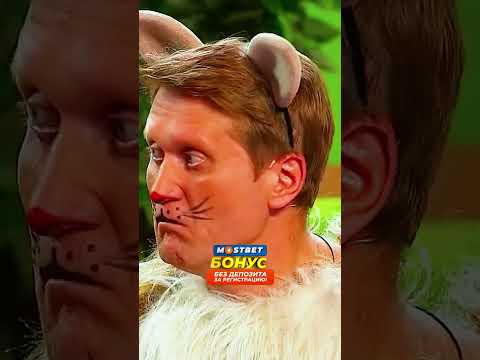 У котика плохое предчувствие / Уральские пельмени