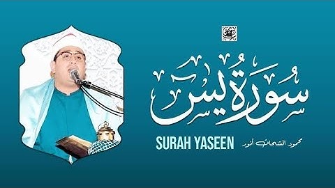 سورة يس كاملــــة أستوديو 🎙️ القارئ الشيخ محمود الشحات أنور