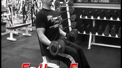 Seated Dumbbell Curls
