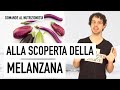 Alla scoperta della melanzana