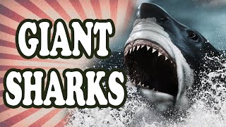 The Shark 30 Times the Size of a Great White