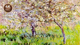 Apple Trees In Bloom At Giverny