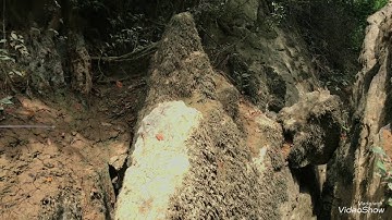 Vào rừng câu cá gặp thuỷ quái và cái kết....