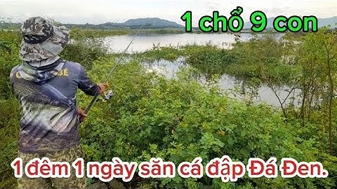 36H Săn Cá Lóc Đen - đêm thất ngày trúng cá.