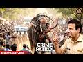 उस हाथी को किसने भड़काया... वो आदमी और वो भीड़ — कातिल कौन था? │ Crime Patrol 2026