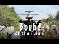 Trailer  boub of the fulani  flicien assogba  benin  2022