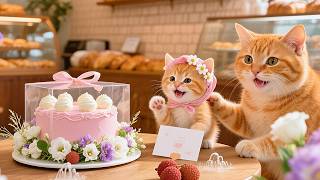 Kitten & Cat Mom Makes Cake for Boy's Sick Mother🎂#cute #cat #funny #animals#viralvideo#kitten #love