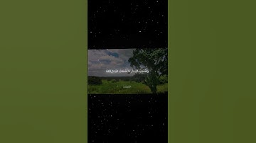 سورة الواقعة|41-42|القارئ:#محمد_اللحيدان #قران #quran #راحة_نفسية #قران_كريم#تلاوة_هادئة#تلاوة_خاشعة