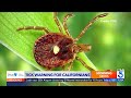 California resident infected with rare tick-borne illness, officials confirm