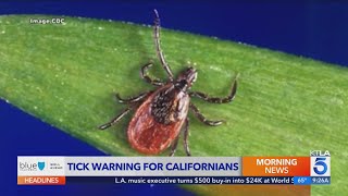 California resident infected with rare tick-borne illness, officials confirm