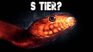 Every Water Snake in the World RANKED