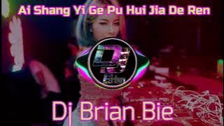 Ai Shang Yi Ge Pu Hui Jia De Ren 爱上一个不回家的人 Remix By Dj Brian Bie