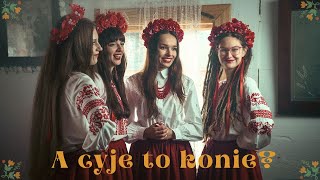 Guzowianki - A cyje to konie