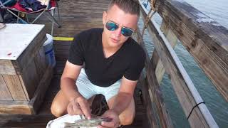 видео: Рыбалка во Флориде картинка: Рыбалка во Флориде