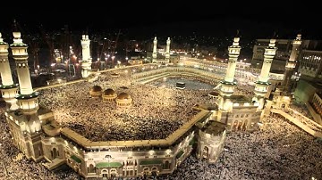 القرآن الكريم : سورة المؤمنون Quran Translation -Ghamdi: Al-Mu'minun : 23
