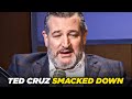 Congress Tells Ted Cruz NO To His Request For Special VIP Treatment At Airports