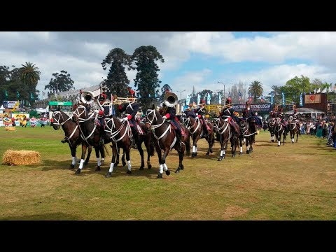 Desde el Ejército afirman que la marcha "Tres Árboles" está incluida en el repertorio oficial