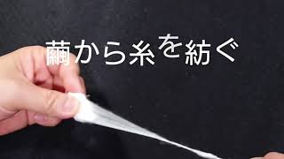 繭から糸を紡ぐ（spin silkworm cocoons into a thread） - YouTube