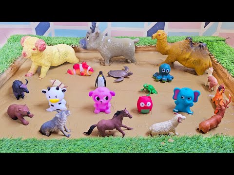Fun On The Farm Adventures With Cute Animals Ocean Creatures In The Sandbox 