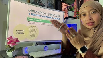 MGT162 Chapter 4 - Organizing (Part 1)