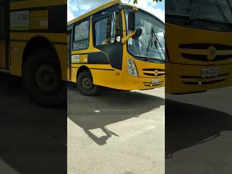 Vídeo: O ônibus escolar é amarelo laranja?